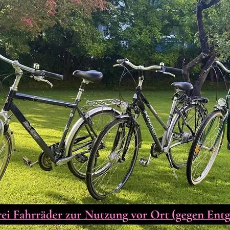 Apartment Neu Kleiner Seeloewe Sassnitz