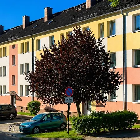 Neu Kleiner Seeloewe